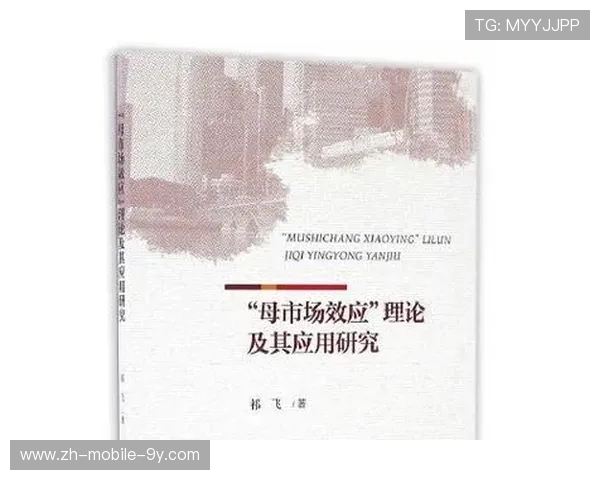 北京网球队的运营分析与发展策略探讨及其面临的挑战与机遇